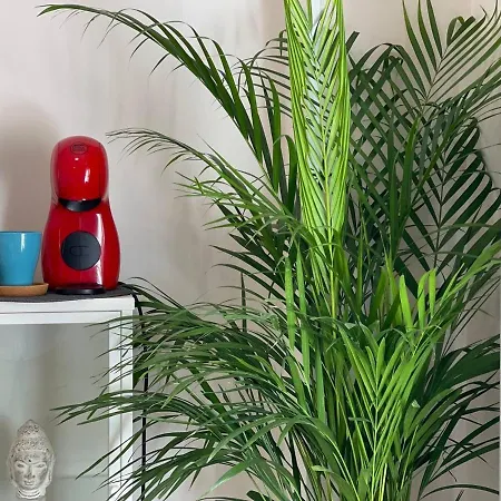 Apartment Cozy Centr Torremolinos