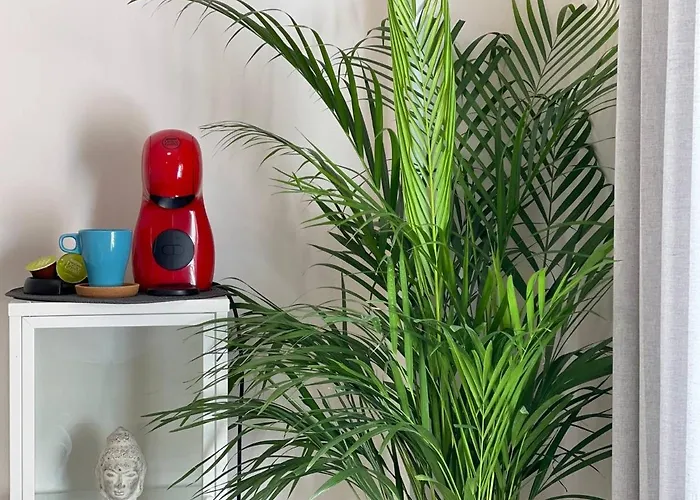 Διαμέρισμα Cozy Centr Τορρεμολίνος